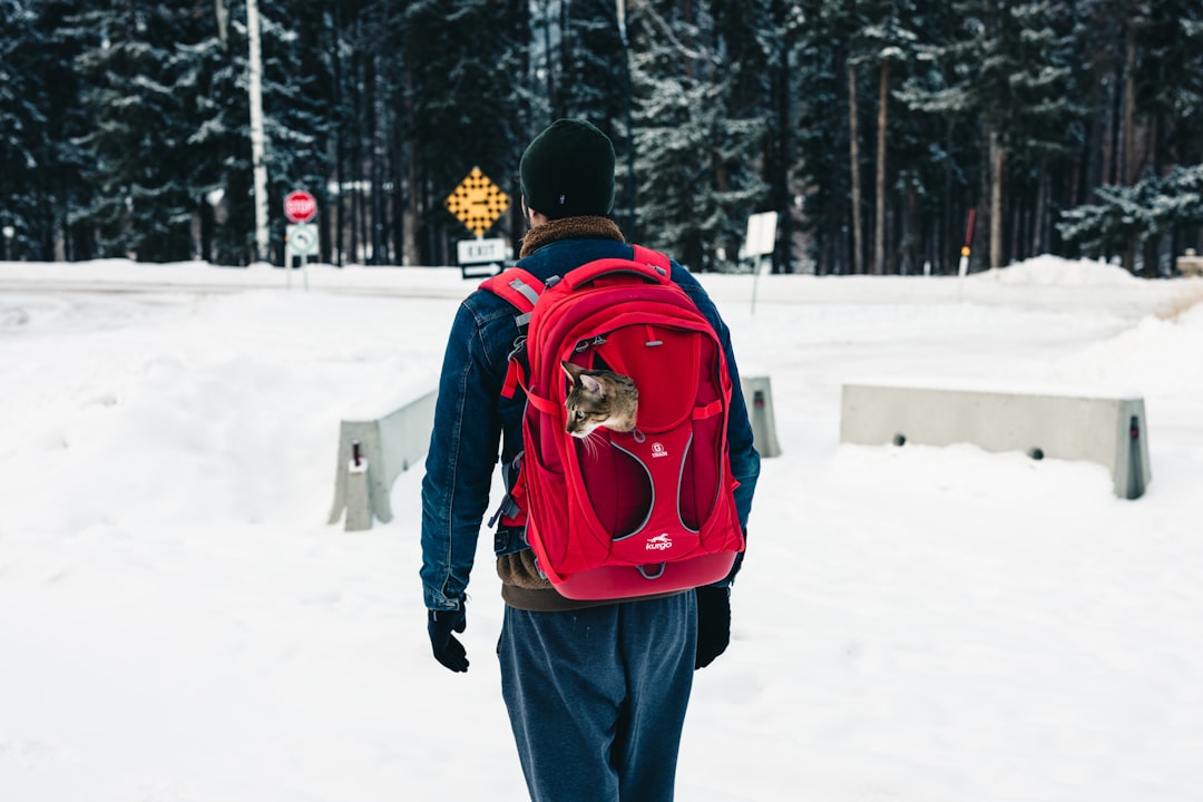 A man with a red backpack walking in the snow